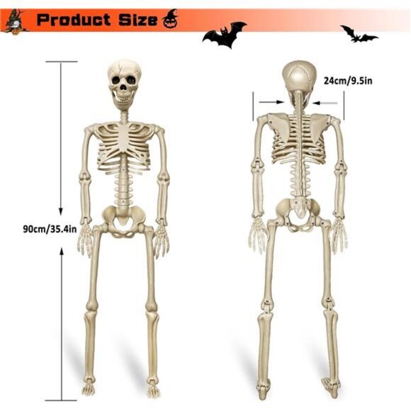2 Pack 36"Halloween Skeleton - 3 ft Life Size Human Skeleton with Posable Joints - Picture 3 of 7